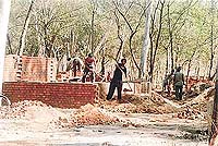 Work in progress at the local Tiger Safari to build enclosures for deer from the Solan Zoo.