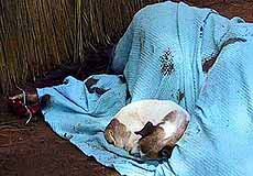 White Zimbabwe farmer Terence Ford lies dead under a blanket