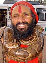 Bholanath, a devotee of Lord Shiva, wears a snake around his neck