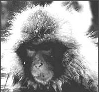 A beast of a problem.