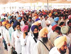 Serpentine queues of farmers at seed vends of �Kisan Mela� on the Punjab Agricultural University campus, Ludhiana, on Thursday.