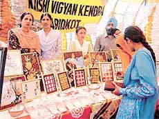 Students of Krishi Vigyan Kendra, Faridkot, display their handicrafts at the Kisan Mela held at PAU in Ludhiana on Thursday.