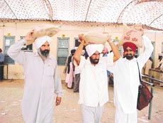 Farmers leave with seeds purchased at the PAU Kisan Mela, in Ludhiana, on Friday.