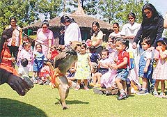 Children of Strawberry Fields