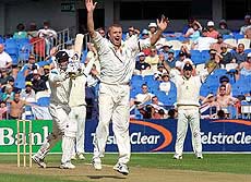 English bowler Andrew Flintoff appeals for the wicket of New Zealand's Black Caps Chris Harris LBW, but was turned down, 