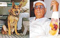 Mr P.N. Gupta, a resident of Sector 36