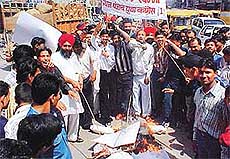 Youth Congress activists burn an effigy of the Haryana Chief Minister, Mr Om Prakash Chautala, in Ludhiana on Wednesday. 