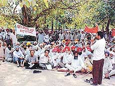 Members of several farmers� organisations protest against �non-remunerative� prices of rabi crops, in Ludhiana on Friday.