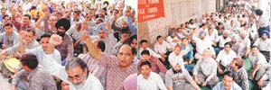 BSNL employees and bank employees hold a dharna in support of their demands in Chandigarh on Tuesday.