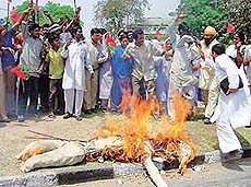 Members of the Samajwadi Party (Mulayam Singh Yadav) burn the effigy of Mr Narendra Modi, Gujarat CM, in Sector 29, Chandigarh on Wednesday.
