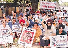 Members of the Punjabi University Teachers Association, Patiala, stage a dharna to demand the removal of the Punjabi University Vice-Chancellor in Sector 8, Chandigarh, on Saturday.