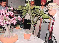 Impressed by the rich cacti collection which features in the silver jubilee show of National Cactus and Succulent Society at Lala Lajpat Rai Bhawan, Sector 15, General Jacob stops to see one of the exotic varieties.