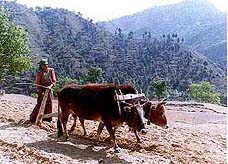 Breaking a tradition