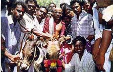 A unique and memorable wedding