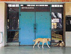 An examination centre of Punjab Agricultural University  wore a deserted look as students boycotted the mid-term exams