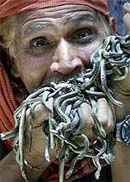 Dudu Meah, a Bangladeshi snake charmer
