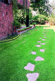 A cat-paw walk helps prevent treading on the grass