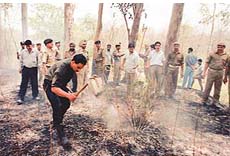 CRPF jawans try to control the fire