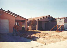 The fruits of corporate labour