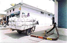 One of the streets of Guru Arjan Dev Nagar near Samrala Chowk