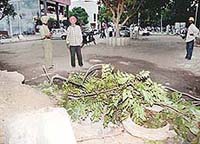 The open sewerage manhole (covered with dry leaves) in Phase IX, SAS Nagar, into which a nine-year-old boy fell on Friday.