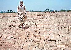Gulab Singh, a resident of Mattanwala village in Barwala block, awaits rain to irrigate his parched fields