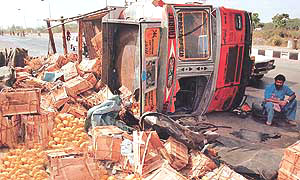 Mangoes strewn on the Chandigarh-Panchkula highway after this truck overturned there early on Saturday.
