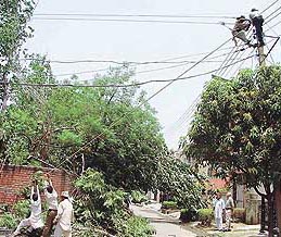 Powermen repair electricity cables in Sector 40 of Chandigarh after Saturday evening�s thunderstorm in the city. 