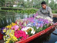 A flower seller waits for customers