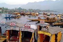 Long wait for Shikarawalas