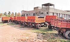 Trucks being run by a Chandigarh-based construction company allegedly on behalf of a former PWD Minister, Mr Sucha Singh Langah