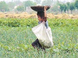 ON JOB BEFORE EDUCATION