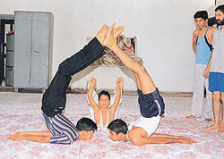 Students practise yoga at a training and treatment camp in Sector 30, Chandigarh, on Friday.