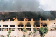 Fire in Shiva Thene Linopack, Parwanoo, on Saturday. 