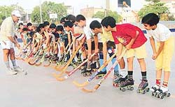 Skating coach A.D. Sharma gives tips to budding skaters in the summer sports workshop being held at Blue Bird School, Sector 16, Panchkula.