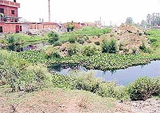 A bundh along the Budha Nullah