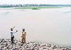 Farmers point to a stud