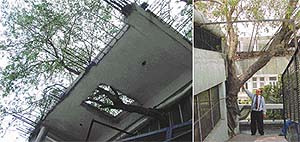 INDUSTRIALIST�S PLANT