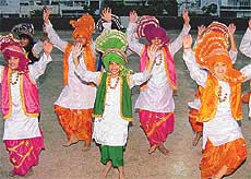 Students of Bharatiya Vidya Mandir, Kitchlu Nagar, present bhangra on the concluding day 