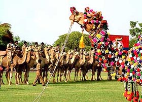Members of the BSF Camel Band