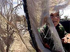 he brother of Hussein al-Matwi