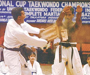A demonstration of Taekwondo at the Second National Martial Art Festival 2002 at the Talkatora Stadium 