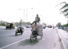 THE FIGHT FOR SURVIVAL