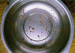 This is what was supplied to residents through the taps.