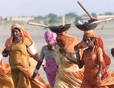 Indian women labourers, in traditional Rajasthani dresses, walk to work at the Thar Desert