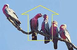 Graphic by Gaurav Sood