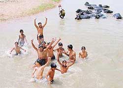 A COOL TREAT IN HEAT