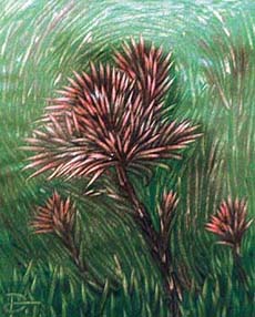 A painting by Deepak Tandon on display at Art Folio in Sector 9, Chandigarh, on Thursday.