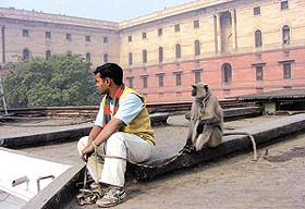 Keeping a tight vigil!