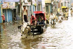 A view of the Dariapur Gola area of Patna